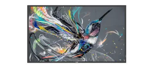 Picture of PHILIPS Q-Line 86BDL3511Q 18/7/UHD/400cd (Speditionsversand)