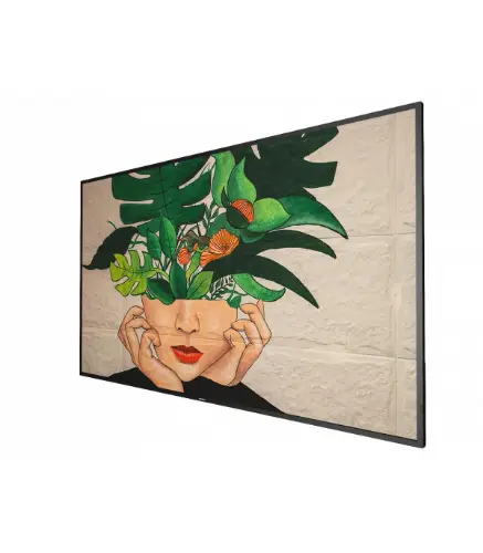 Picture of PHILIPS D-Line 55BDL4511D 24/7/UHD/500cd (Speditionsversand)